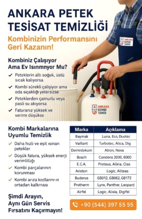 Ankara Petek Tesisat Temizliği